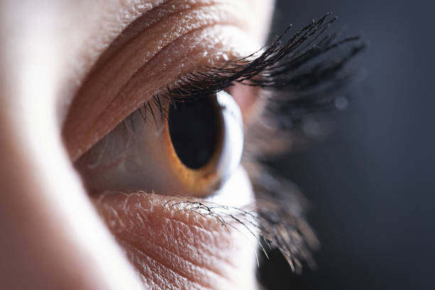 ojo - sensory perception eyeball human eye eyesight fotografías e imágenes de stock