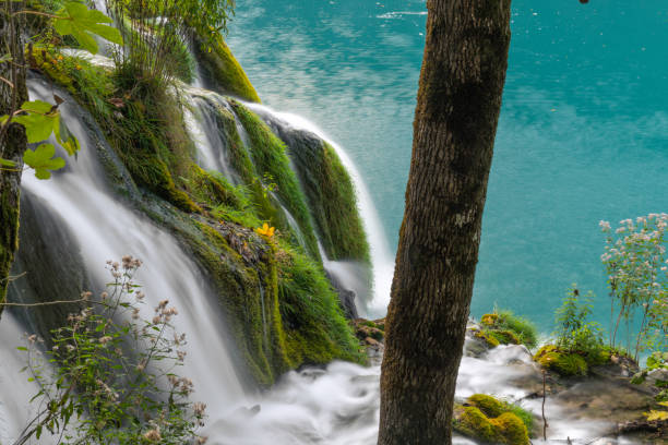 Waterfalls at Plitvice Lakes National Park, a beautiful park in the Istria Region of Croatia
