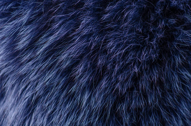 istock Blue fur macro texture material fashion fabric 1053623986
