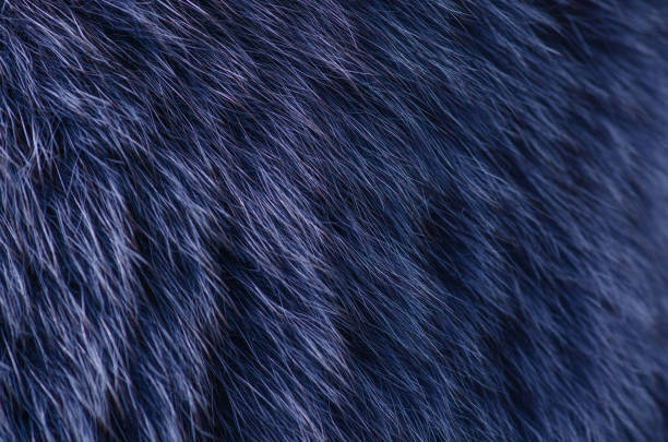 istock Blue fur macro texture material fashion fabric 1053623990
