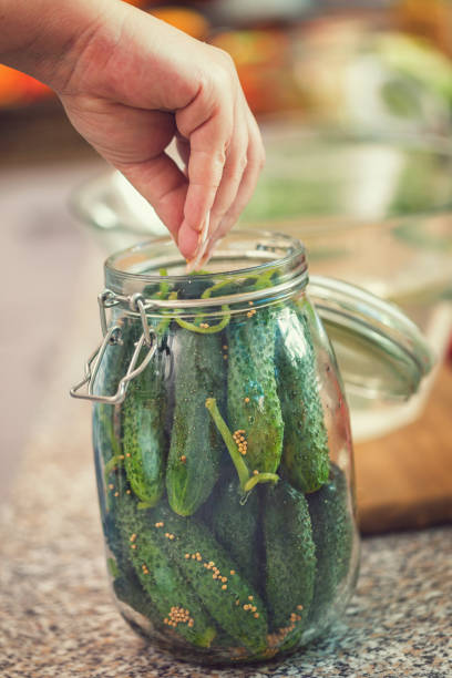 istock Preserving Fresh Organic Vegetables in Jars 1053627094