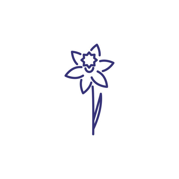 ikona linii żonkilu - daffodil stock illustrations