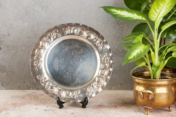 Vintage silverplate dish and green plants in brass flower pots on concrete background. Copy space for text.