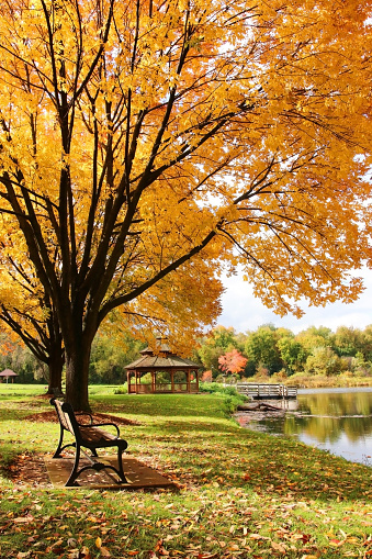 A view from behind the empty park bench overlooking the lake in the park on a sunny autumn morning.