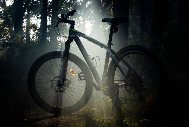 istock Mountain bike in the forest is sundered by a ray 1053639200