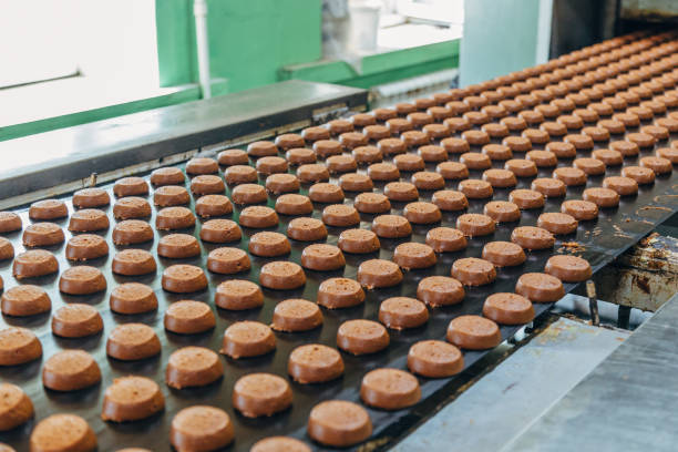 istock Baking production line. Raw uncooked cookies after forming going to oven by conveyor 1053639362