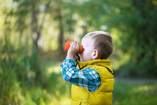 The little boy young researcher looks up and exploring with binoculars The little boy young researcher looks up and exploring with binoculars environment in the green forest on a sunny day bird watching photos stock pictures, royalty-free photos & images