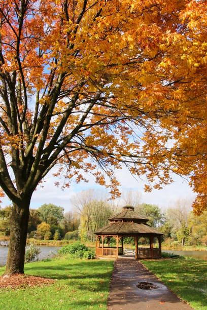 istock Midwest nature background with park view. 1053642552