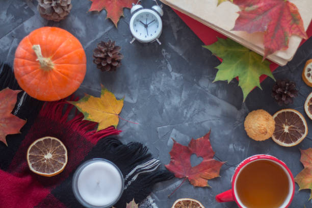 istock Top view apportion from autumn objects on a concrete background. Autumn still life 1053642970