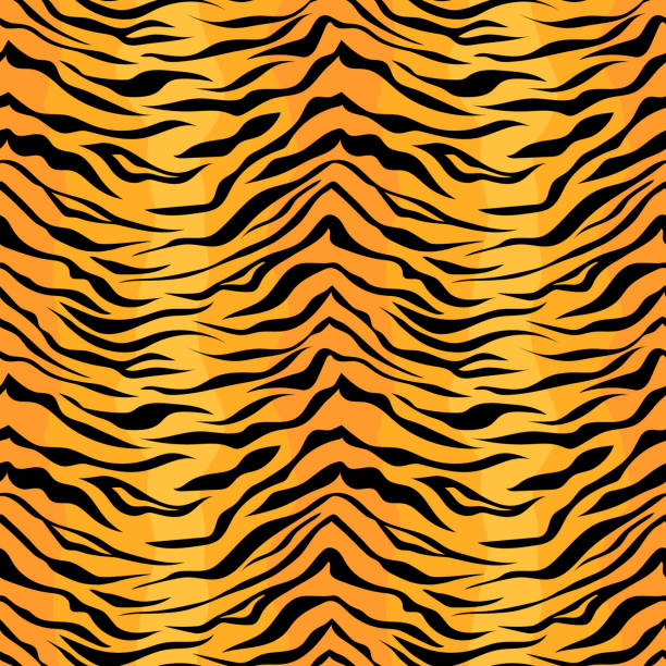 Seamless Tiger Stripe Pattern Vector Animal Skin Background Print Stock  Illustration - Download Image Now - iStock