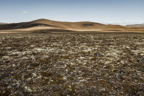 istock Landscape at Krisuvikurberg Cliffs in Iceland 1053661030