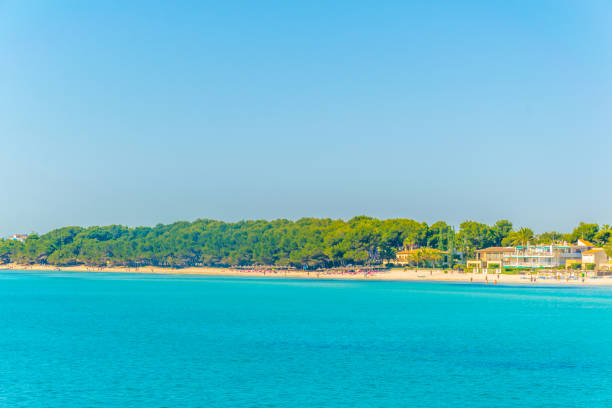 курорты растянулись рядом с пляжем алькудия на майорке, испания - 5954 стоковые фото и изображения