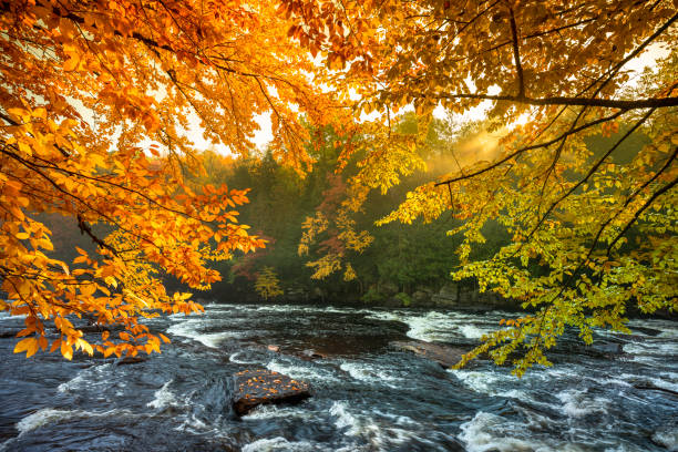 istock Colorful Autumn leaves fall by river rapids 1053698662