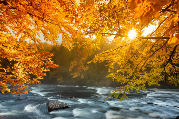istock Colorful Autumn leaves fall by river rapids 1053698666
