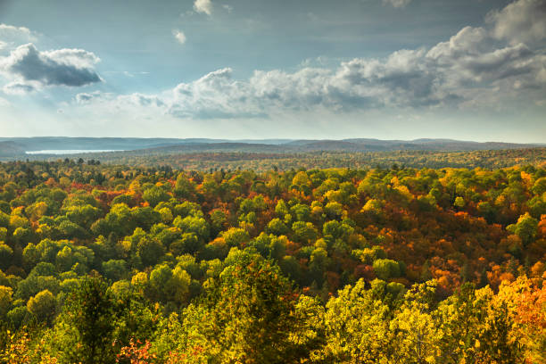 istock Colorful Autumn season wilderness forest and trees 1053698690