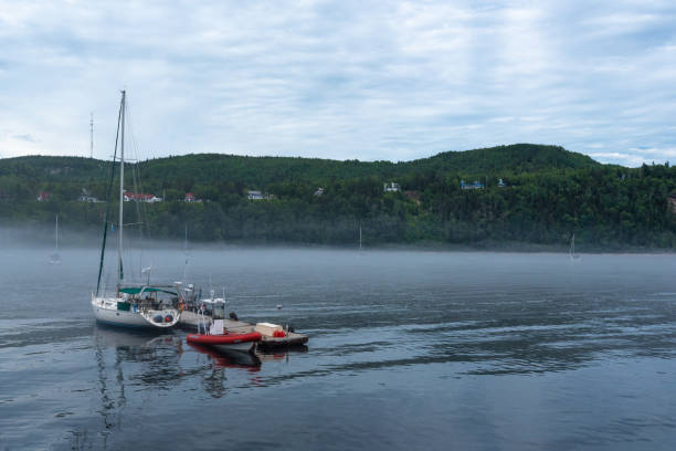 istock Quebec Canada, July 2018, Boat whale watching Quebec 1053710958