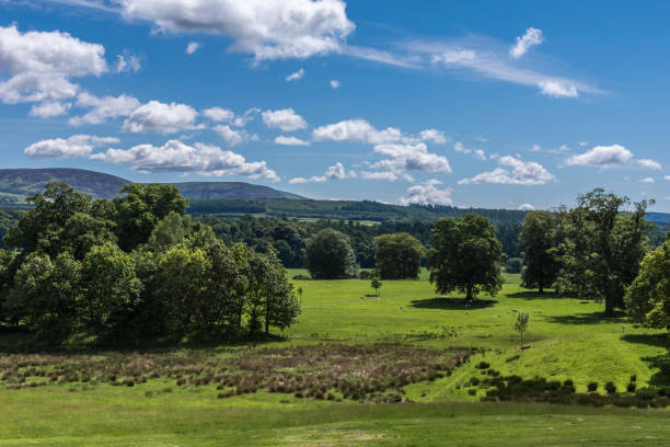 Holm of Drumlanrig, Scotland, UK - June 18, 2012: Scenery with hills and forest pockets under blue sky outside Drumlanrig Castle.