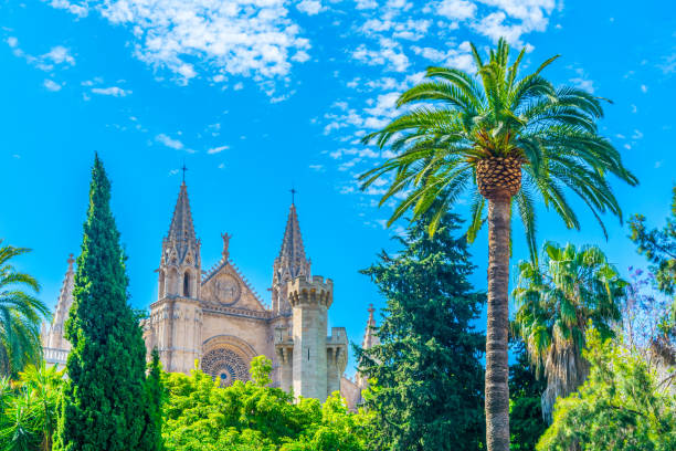 istock Cathedral of Palma de Mallorca with a palm, Spain 1053725964