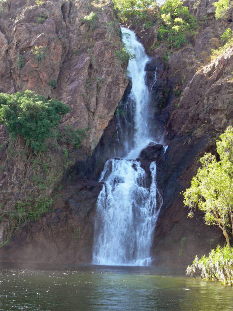 wangi falls - wangi falls imagens e fotografias de stock