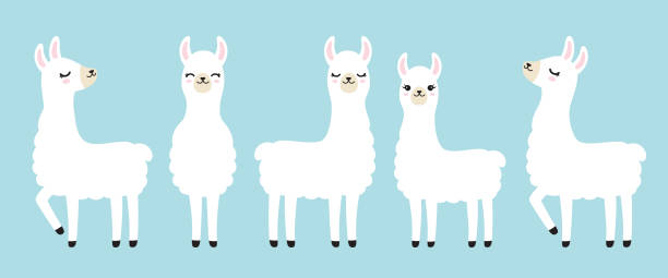 illustrations, cliparts, dessins animés et icônes de illustration vectorielle lama blanc mignon - lama