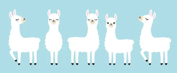 Vector illustration of Cute White Llama Vector Illustration