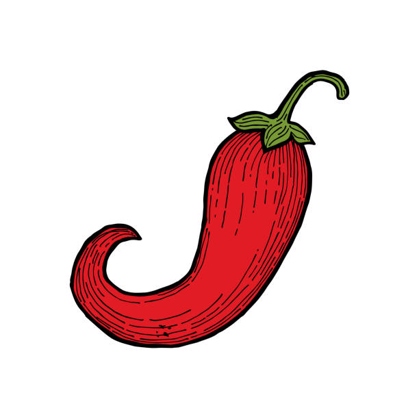 stockillustraties, clipart, cartoons en iconen met spaanse peper - chili pepper