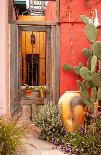 istock Closeup of a beautiful, rustic, vintage door 1053766856