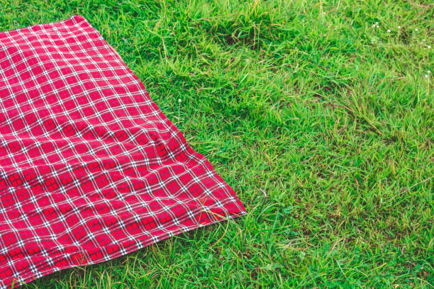 istock Summer picnic with red blanket in the park. 1053768664