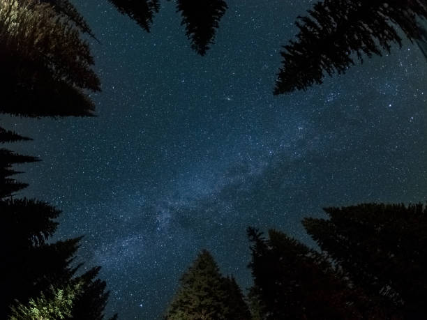 istock a starry night in Yoho national park 1053777644