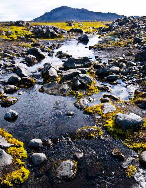 Mossy rock-filled river stock photo