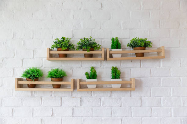 small plant pots placed on wooden shelf on white brick wall. stock photo