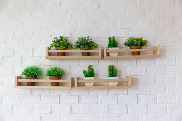 vasos para plantas pequenas colocadas na prateleira de madeira na parede de tijolo branco. - madeira falsa - fotografias e filmes do acervo