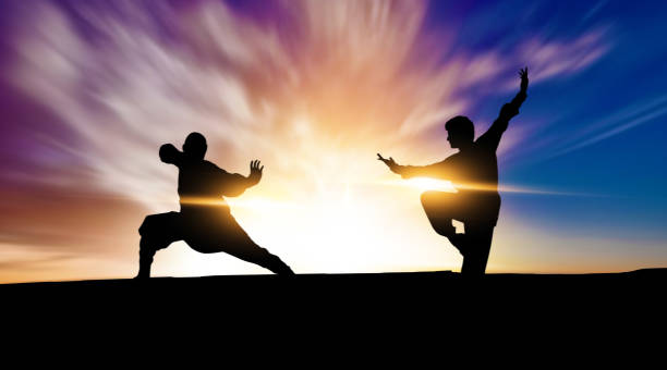 silhouette paesaggio della lotta kung fu - kung fu foto e immagini stock