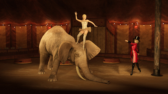 Various circus performers including elephants and horses