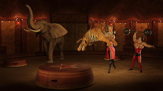 Various circus performers including elephants and horses