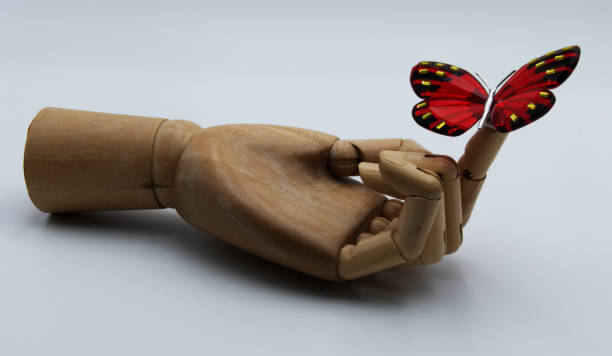 istock A butterfly on my finger 1053791852