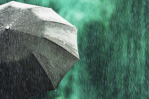 paraguas negro abierto en tiempo mojado. lluvia de otoño. profunda tristeza. mojada del paraguas contra el telón de fondo de la calle. estado de ánimo triste. lloviendo en la ciudad. fuerte lluvia sobre fondo verde del verano. siento pena y tristeza - color image season people wet fotografías e imágenes de stock