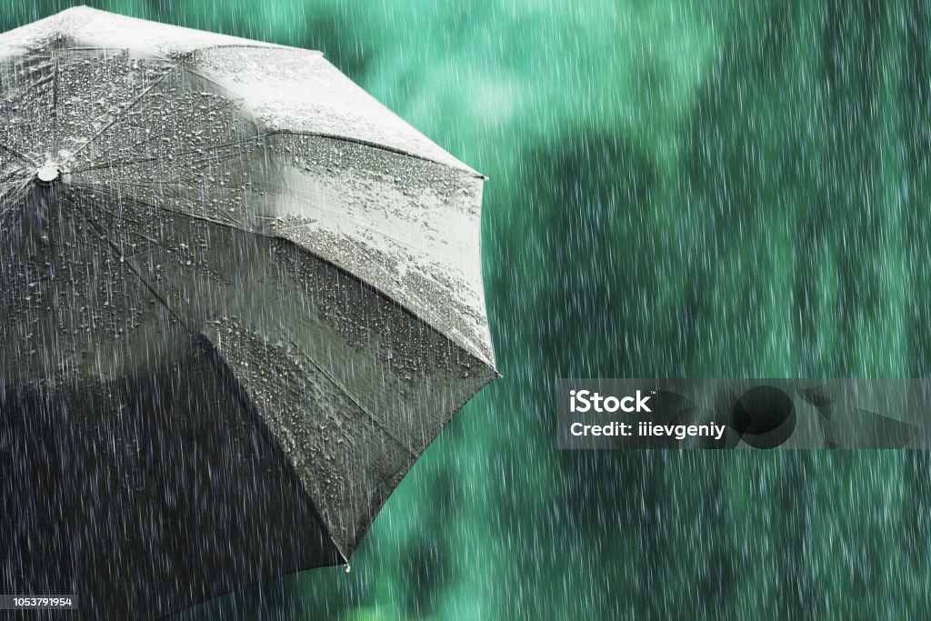 Open black umbrella in wet weather. Autumn rain. Deep sorrow. Wet umbrella against backdrop of street. Sad mood. Raining in city. Heavy rain on summer green background. Feel sorrow and sadness Rain Stock Photo