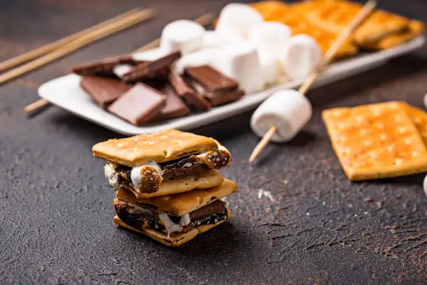 Homemade s'mores with crackers, marshmallows and chocolate on dark background