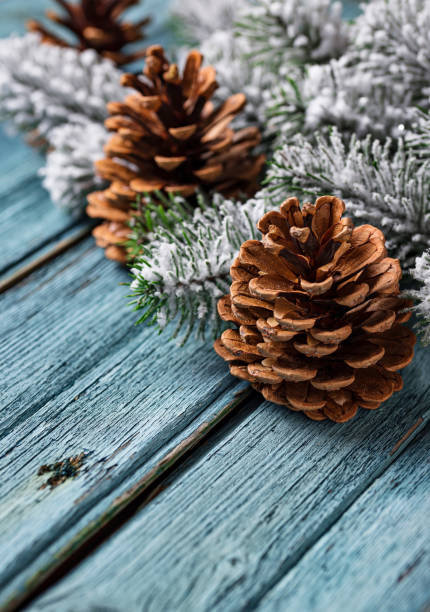 istock Christmas or New year festive background with pine cones 1053808890