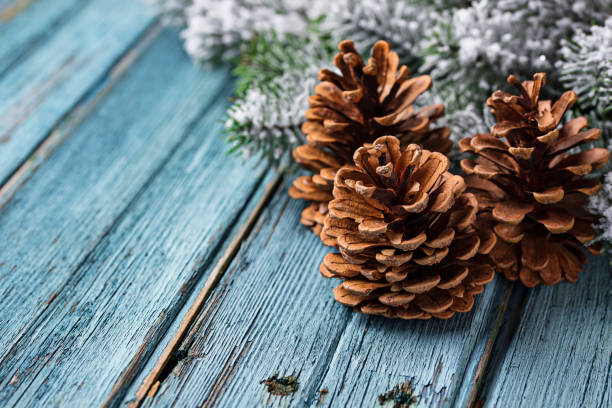 istock Christmas or New year festive background with pine cones 1053808970