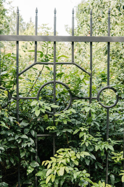 istock green branches behind fence in botanical garden 1053816656