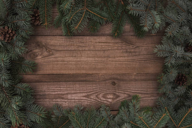istock beautiful evergreen coniferous branches and pine cones on wooden background 1053821224