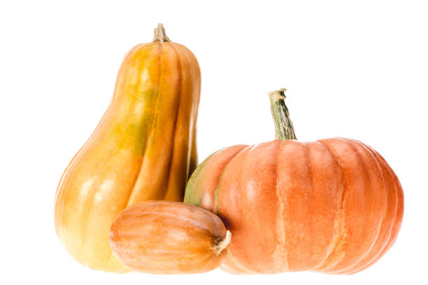 istock three ripe yellow and orange autumnal pumpkins isolated on white 1053821598