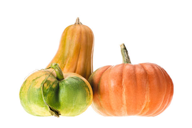 istock yellow, orange and green pumpkins isolated on white 1053821636