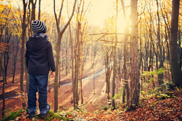 Little boy aged 8 walking in autumn forest. The boy is standing on forest hill and admiring the sunset.Nikon D850