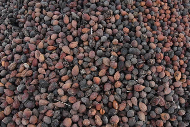 istock Background of agricultural produce 1053825132