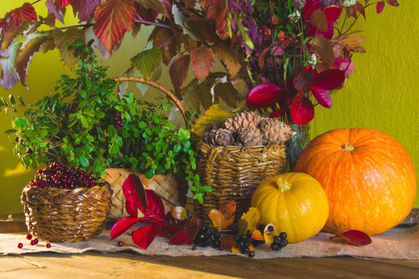istock Autumn harvest, pumpkin, pine nuts 1053833682