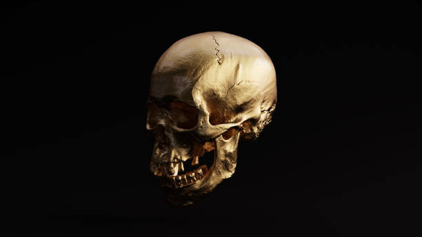 istock Gold Skull and Jaw Bone 3Q Left 1053839778