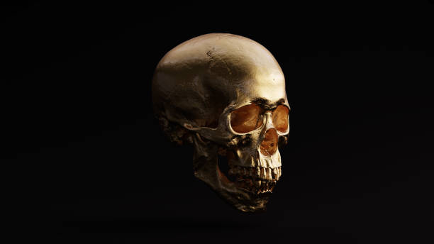 istock Gold Skull and Jaw Bone 3Q Right 1053839806
